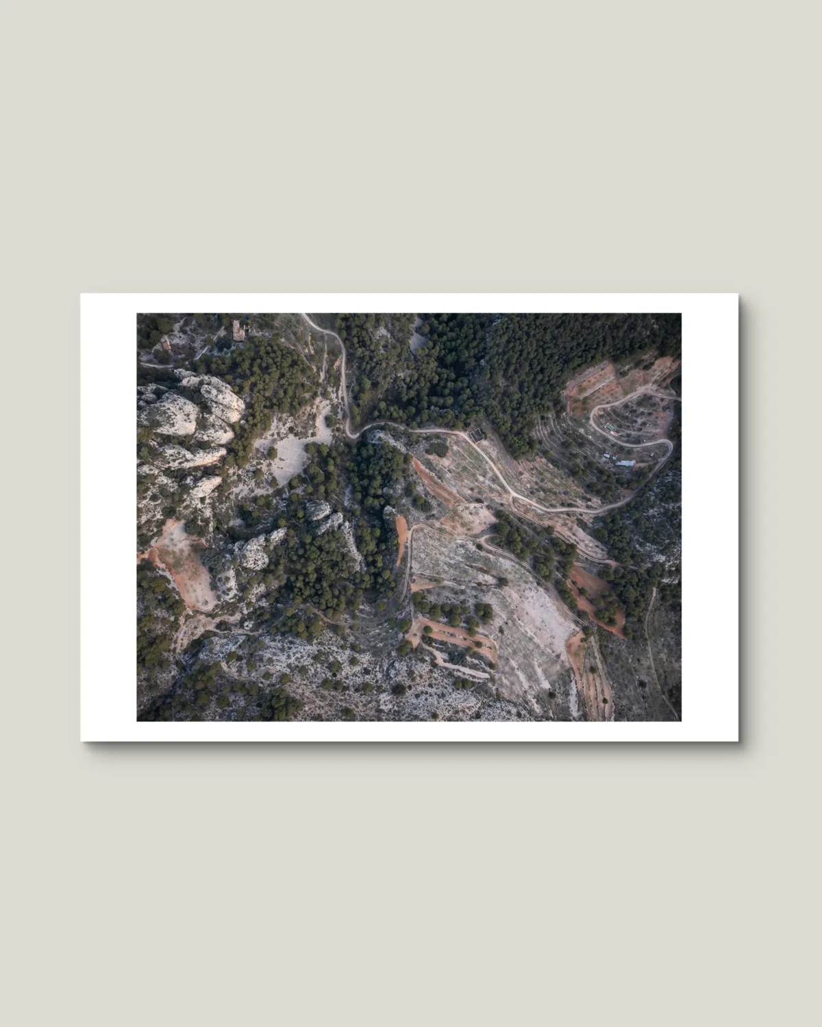 Barranc de l`Abdet - Pathways Through Nature - Mediterranean Landscape Photography - Image 3