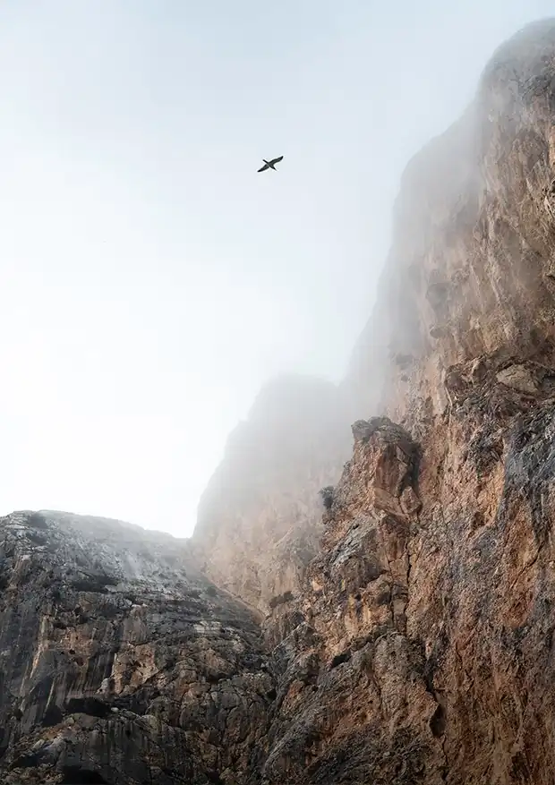 Penyal d'Ifac Natural Park - Majestic Flight - Mediterranean Landscape Photography